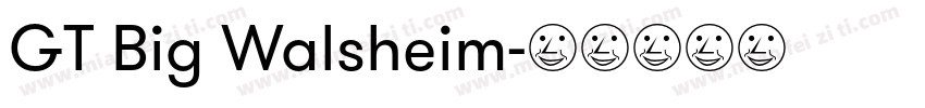 GT Big Walsheim字体转换